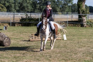 Bild 227 - Pony Akademie Turnier